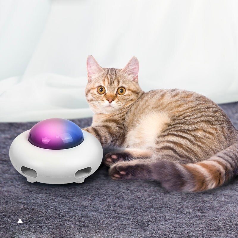 Jeu-interactif-chat-amusant