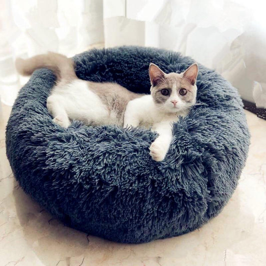 coussin-pour-chat-gris