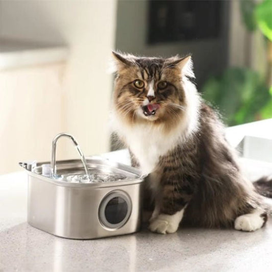 fontaine a eau chat | CatFriends™ - Chatboom