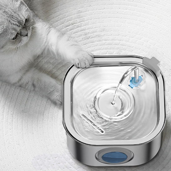 fontaine a eau chat | CatFriendsâą - Chatboom