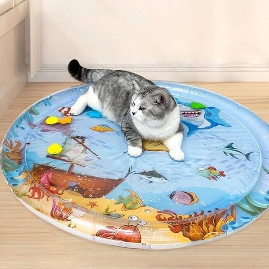 jeu-chat-coussin-resistant