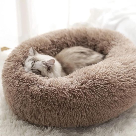 PoufPeluchePourChatâą - Chatboom