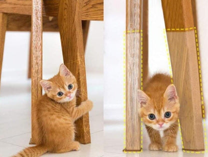 Film-protecteur-griffure