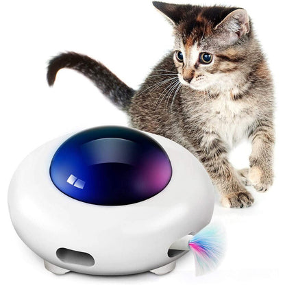 Jeu-interactif-pour-chat-programmable
