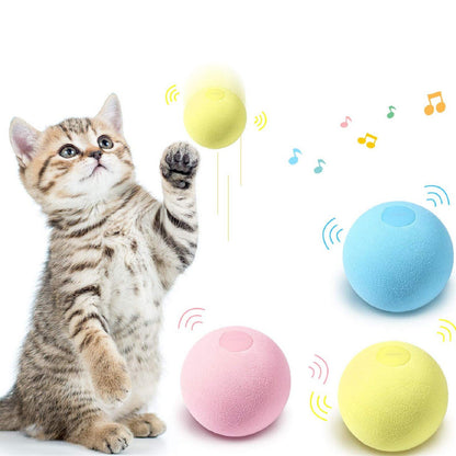 Jouet-pour-chaton-interactif