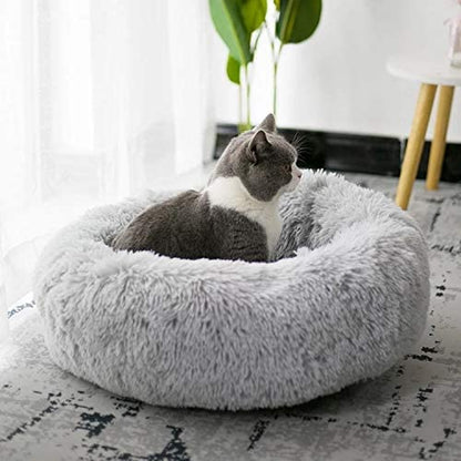 coussin-pour-chat-douillet