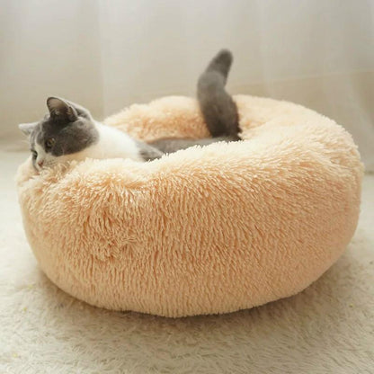 coussin-pour-chat-saumon