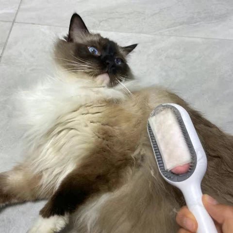 DoubleFaceBrosse™ | Brosse pour chats - Chatboom