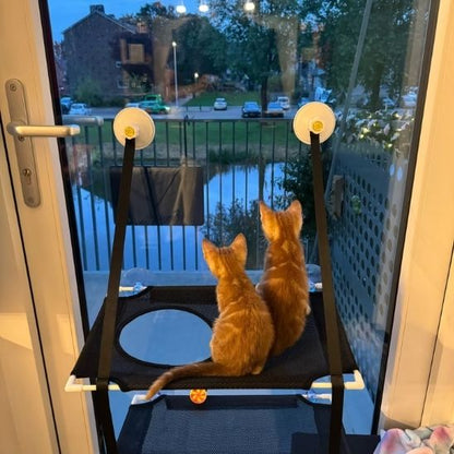 Hamac chat - Chatboom