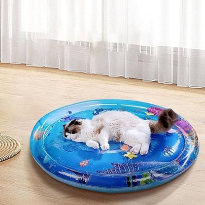 jeu-chat-coussin-amusant