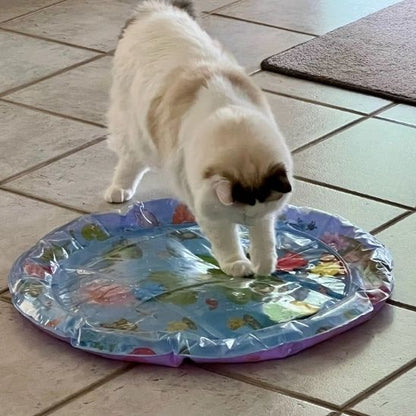 jeu-chat-coussin-gonflable