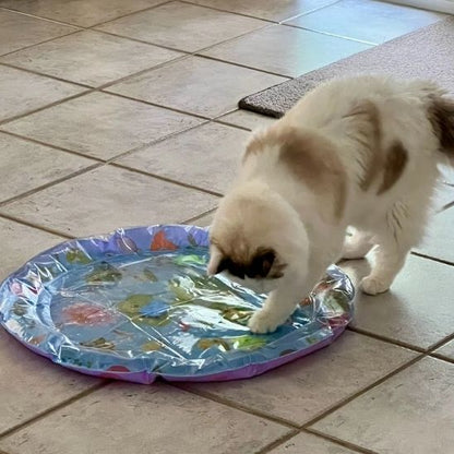 jeu-chat-coussin-stimulant