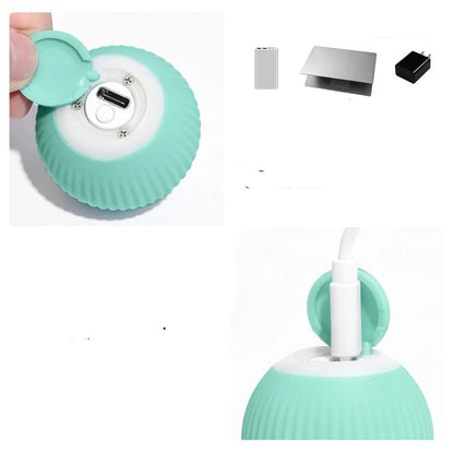 jouet-pour-chat-balle-interactive​-électrique-USB