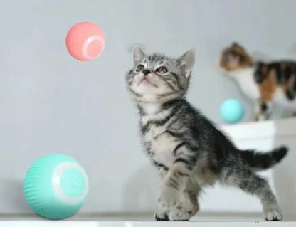 jouet-pour-chaton-balle-interactive​