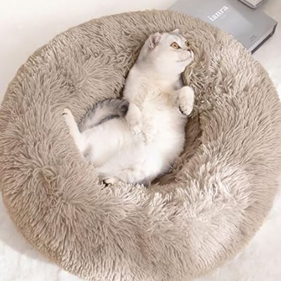 PoufPeluchePourChat™ - Chatboom